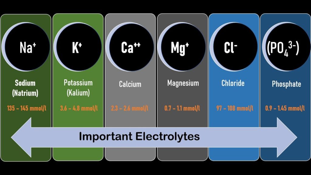 important electrolytes